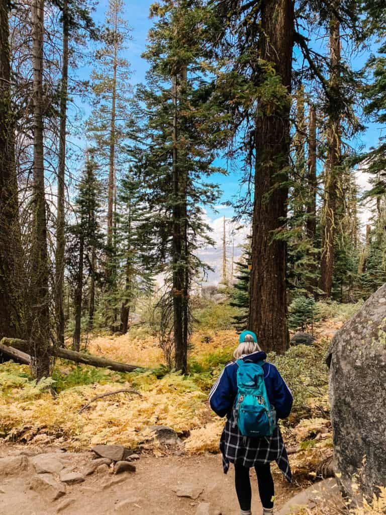 Yosemite National Park hike