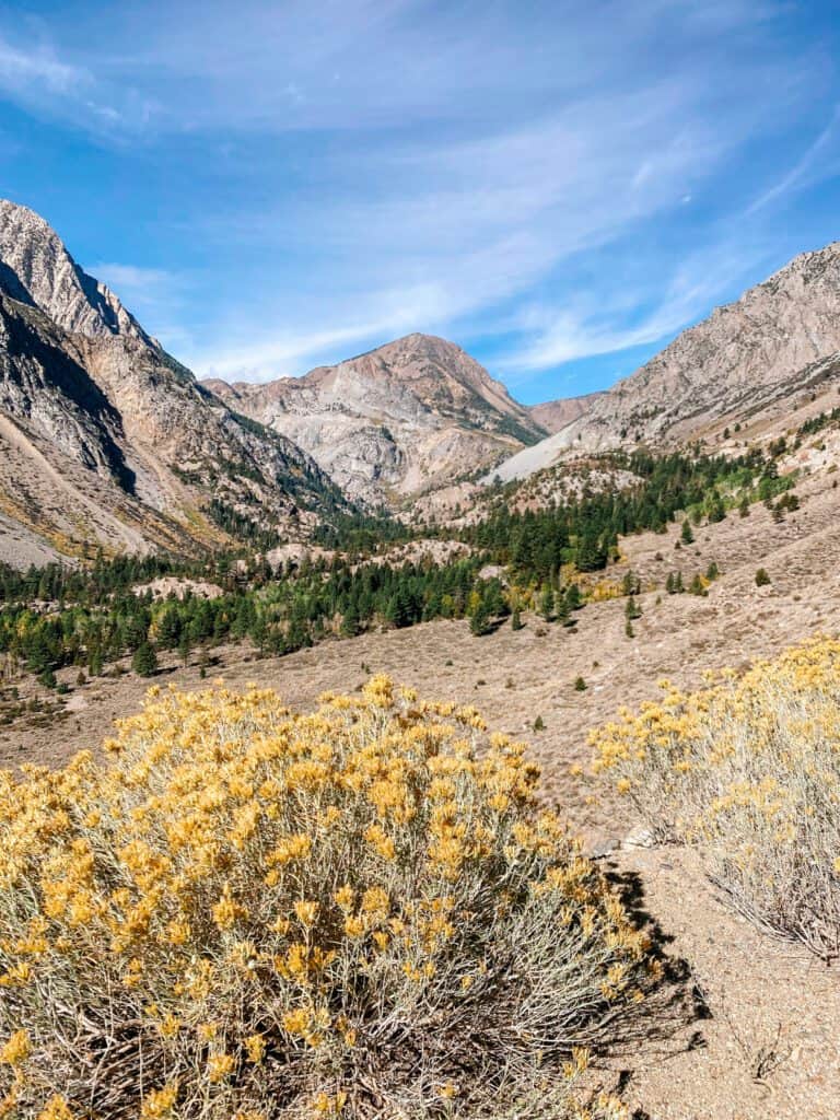 California Road Trip, Yosemite