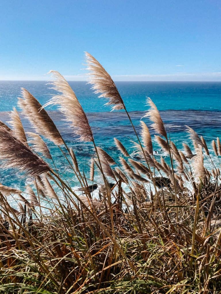 Pacific Coast Highway road trip