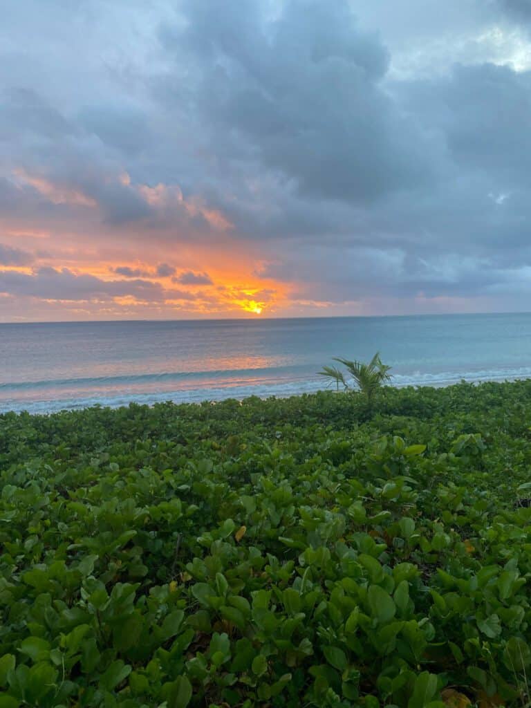 Fiji sunset