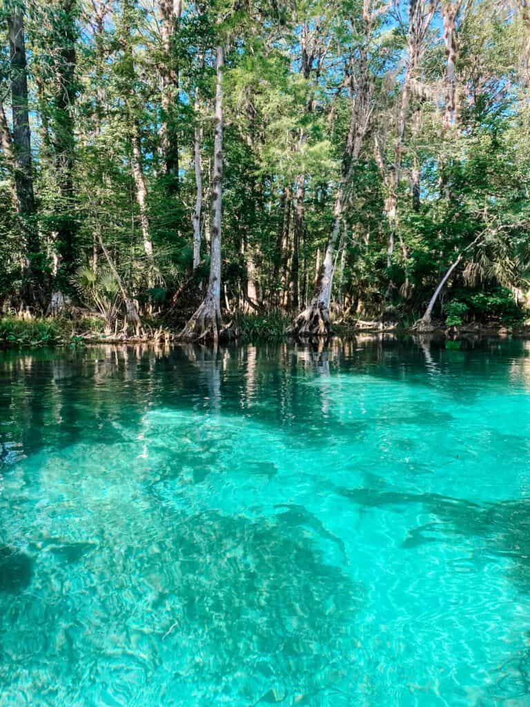 silver springs, florida