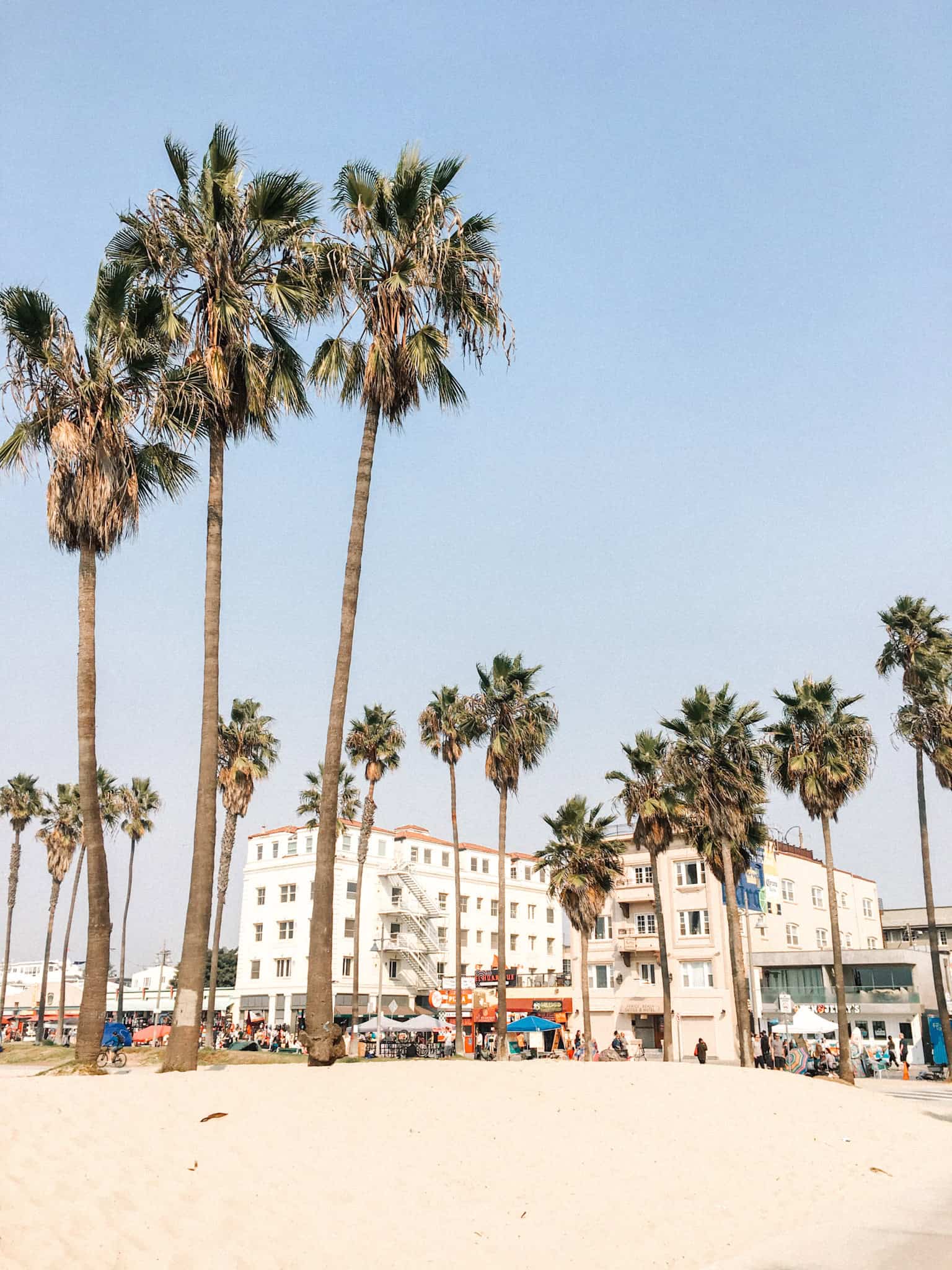 venice beach in Los Angeles, CA