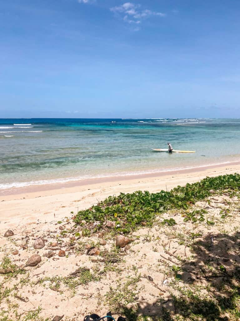 beginner surf lessons in fiji natadola beach