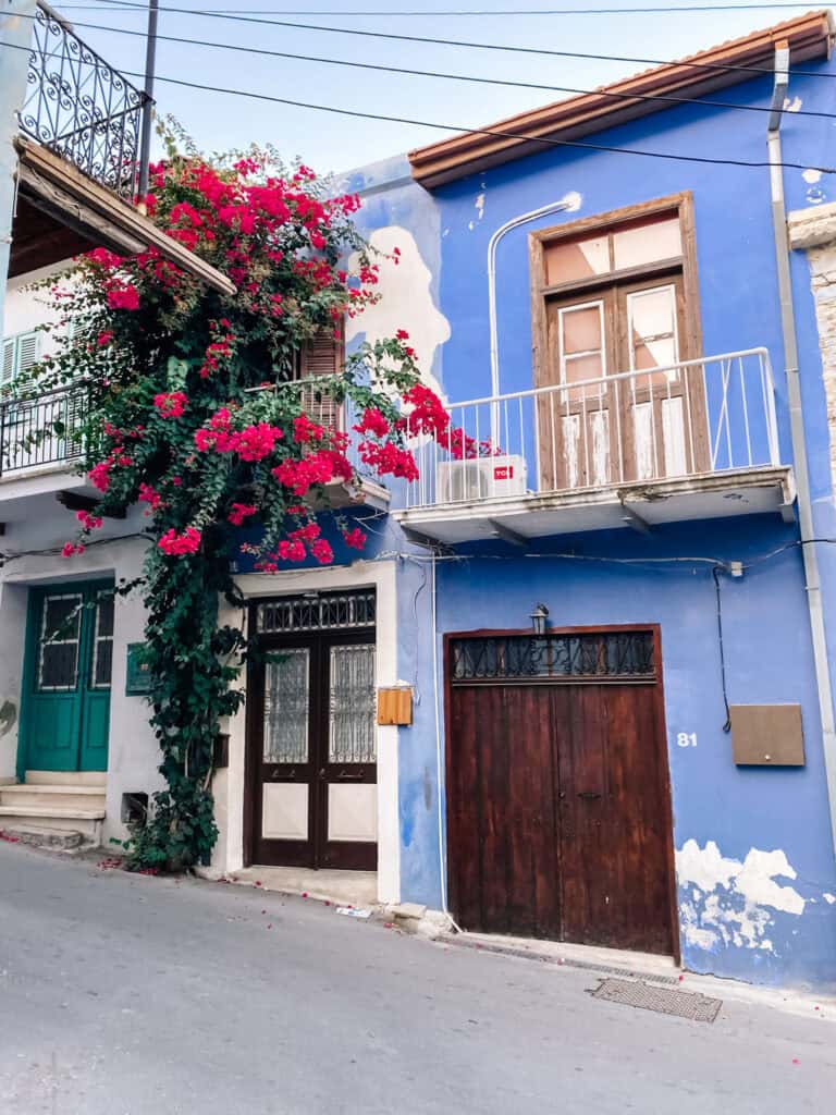 Lefkara door and plant