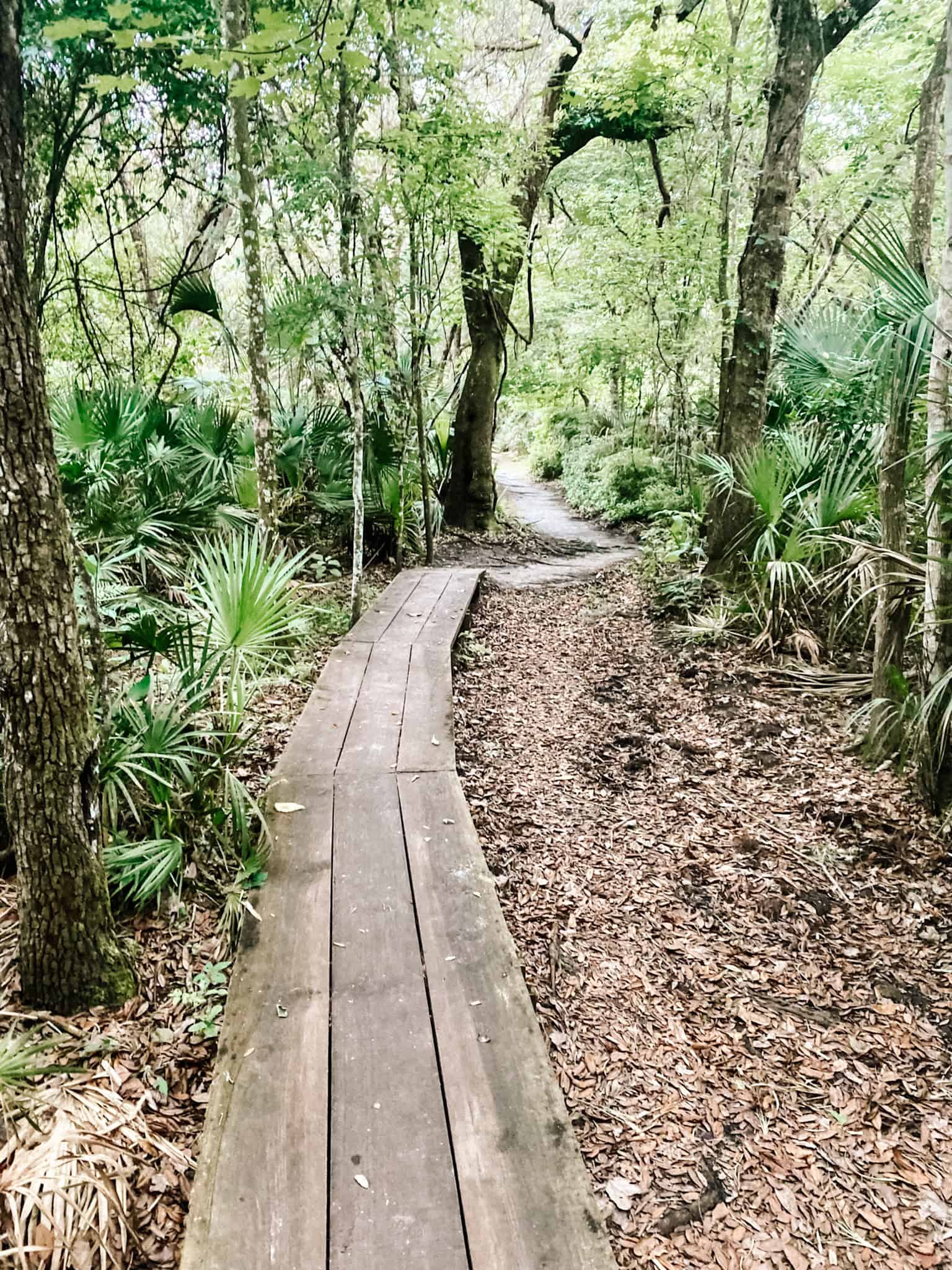 nature trails in Florida