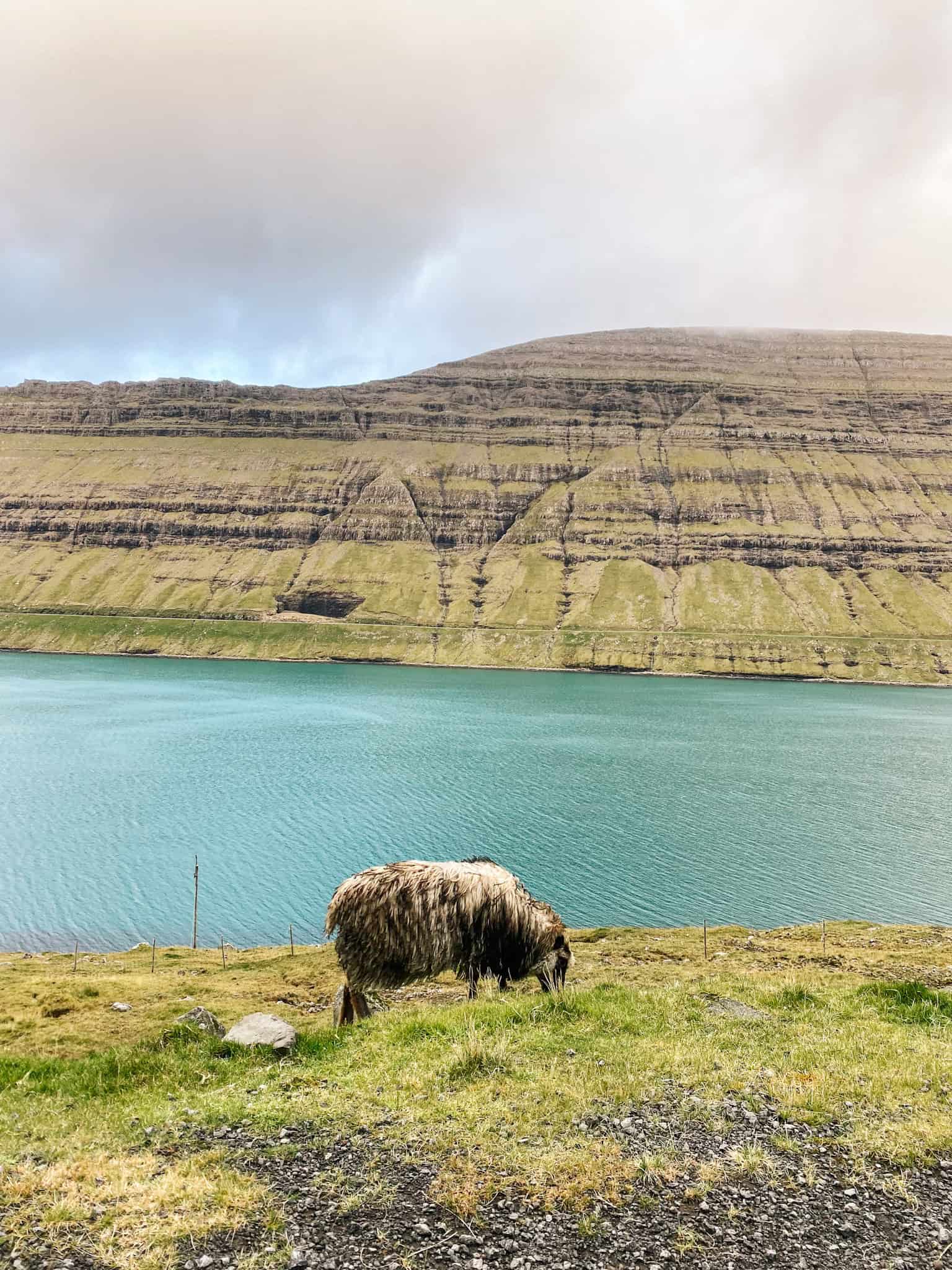 Faroe Islands travel blog