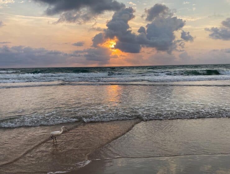 Florida beach sunrise