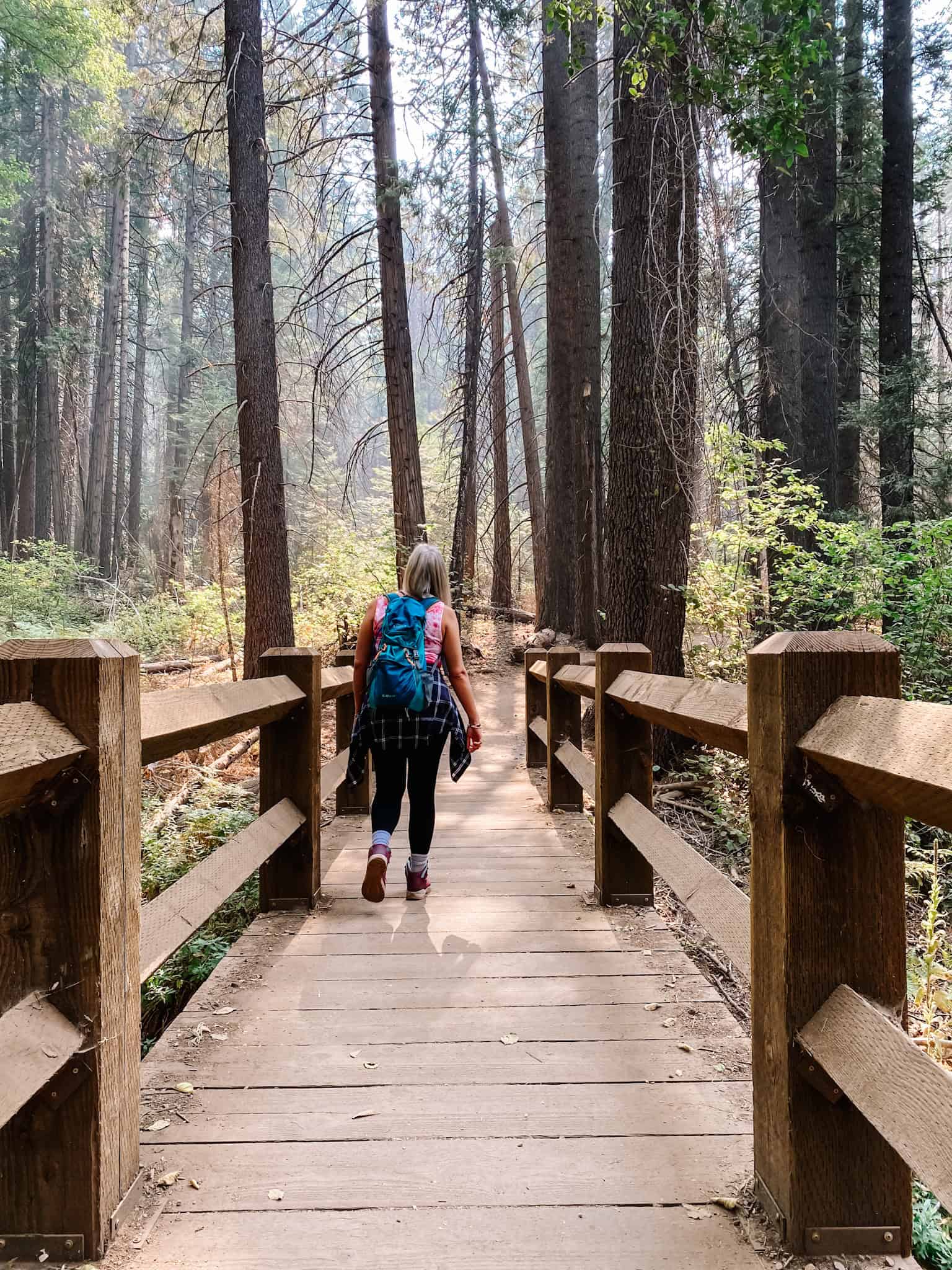 Wawona and Mariposa Grove, Yosemite