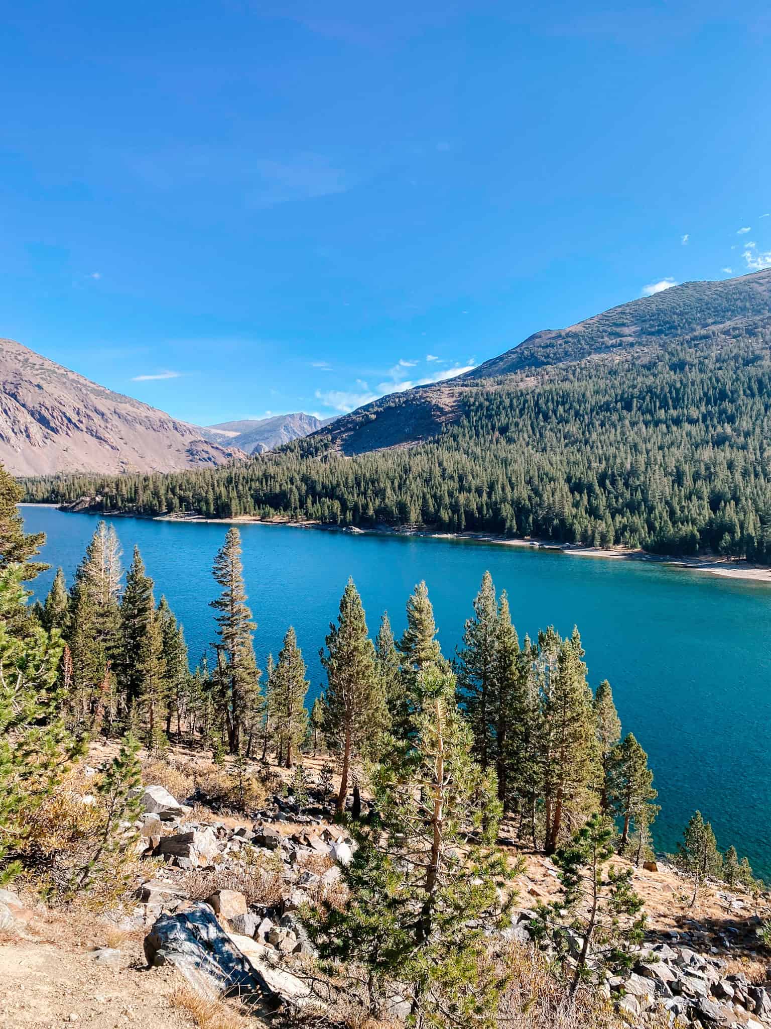 Yosemite National Park