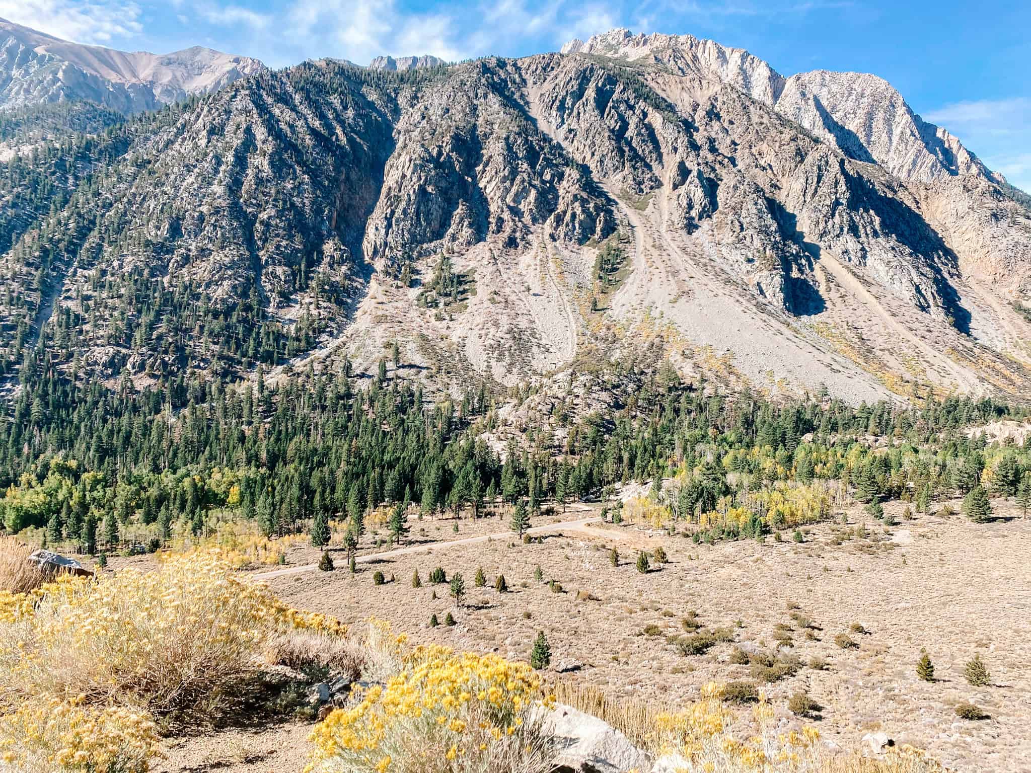 Yosemite National Park