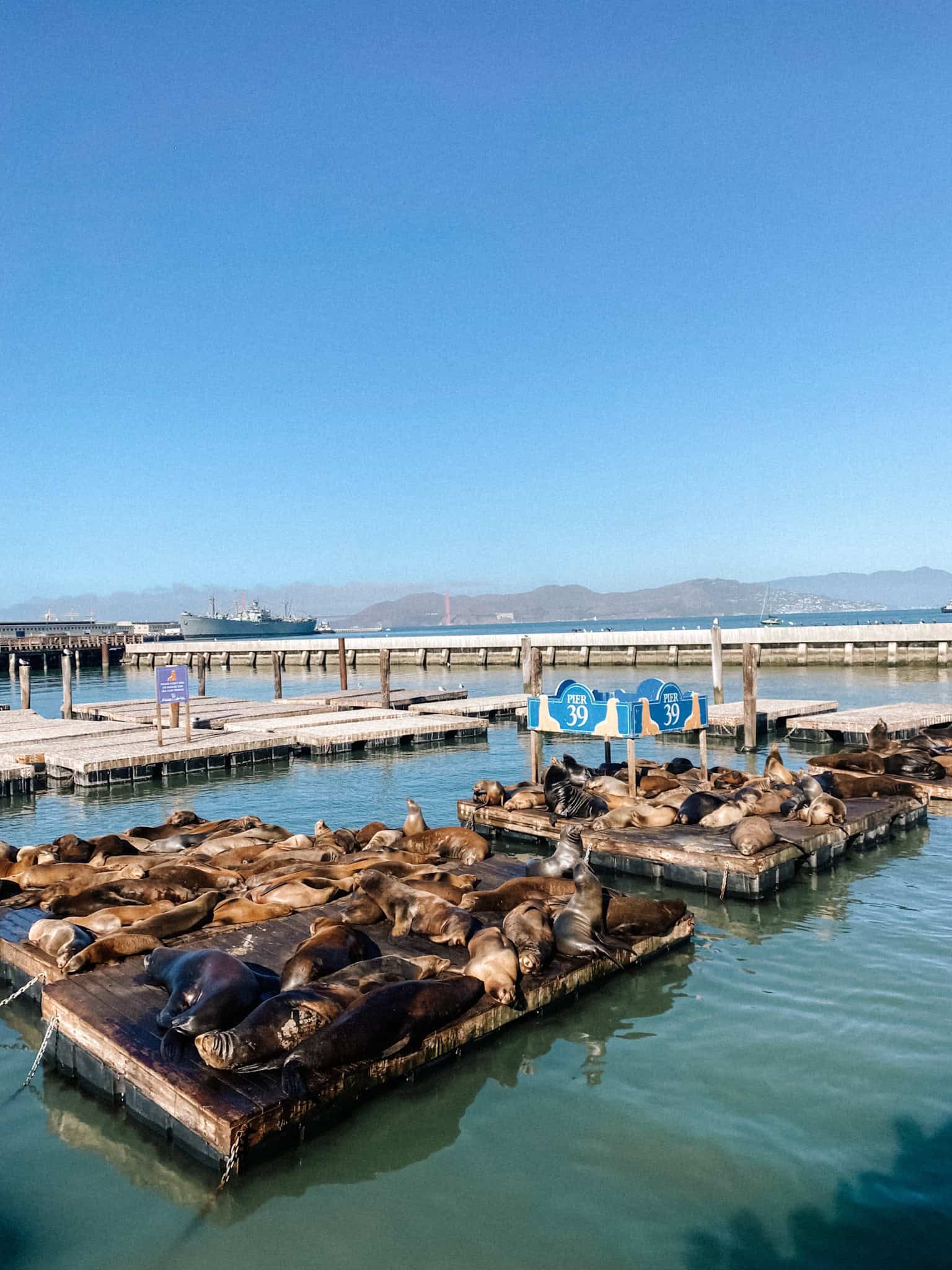 San Francisco Seals