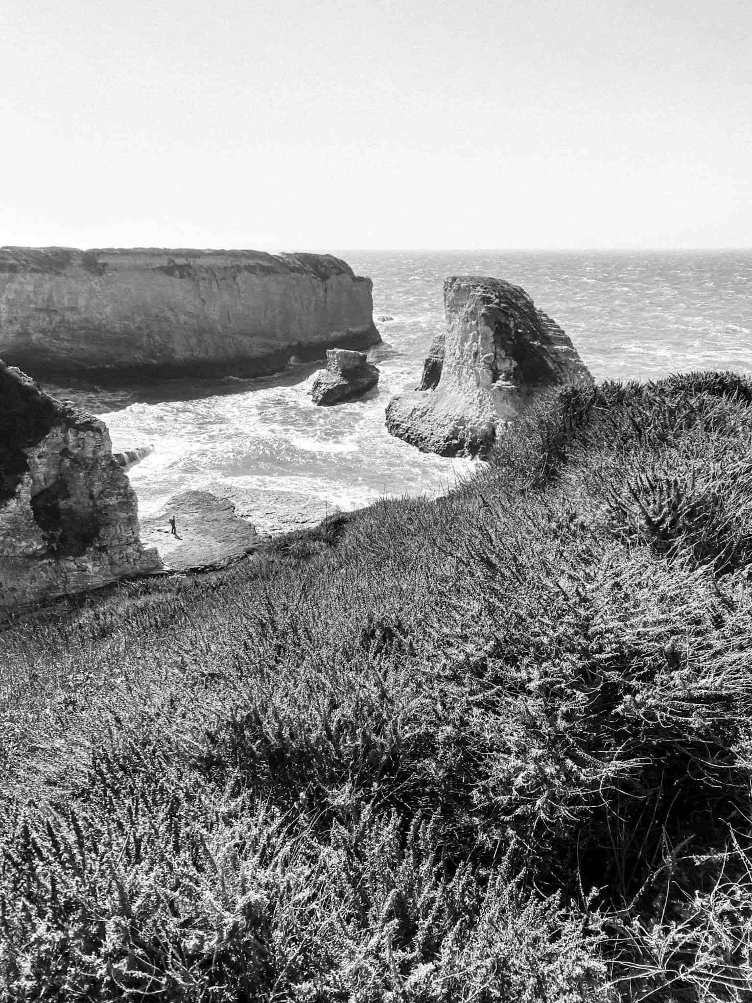 Shark Fin Cove