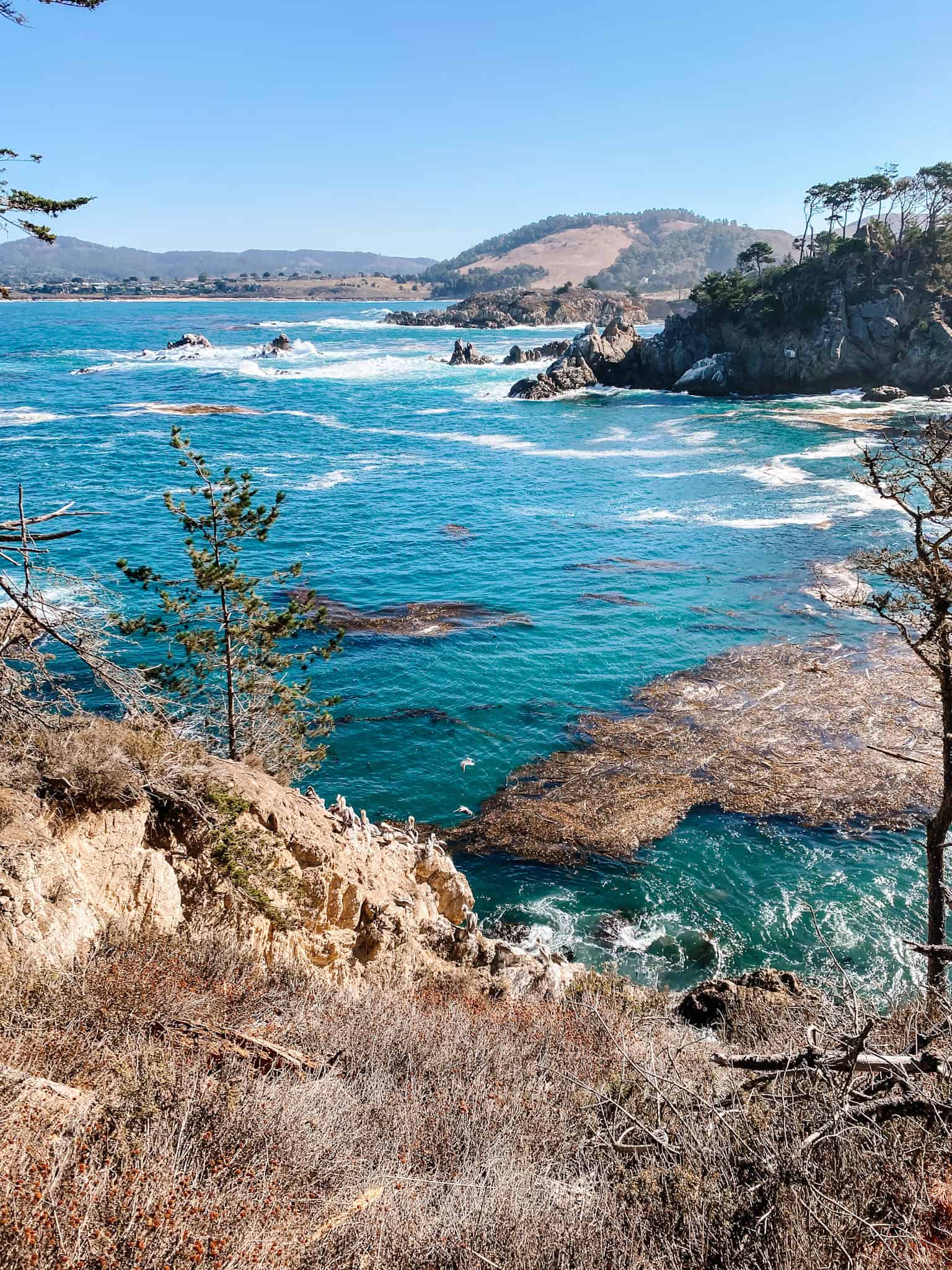 Point Lobos State Natural Reserve