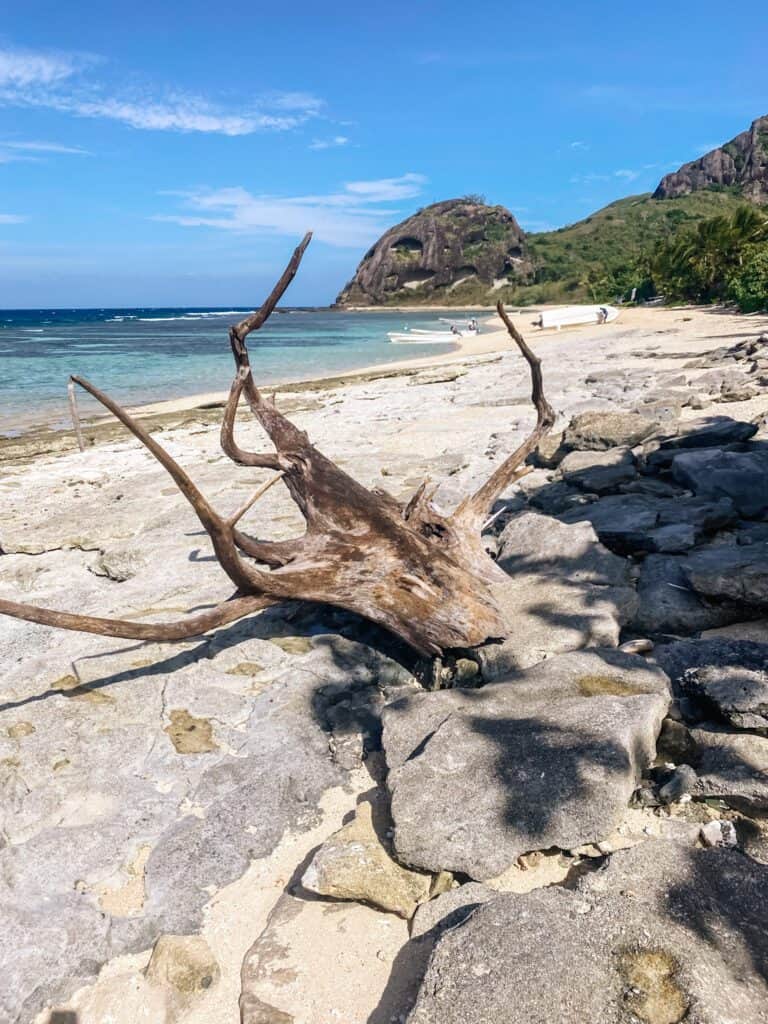 Barefoot Kuata, Fiji