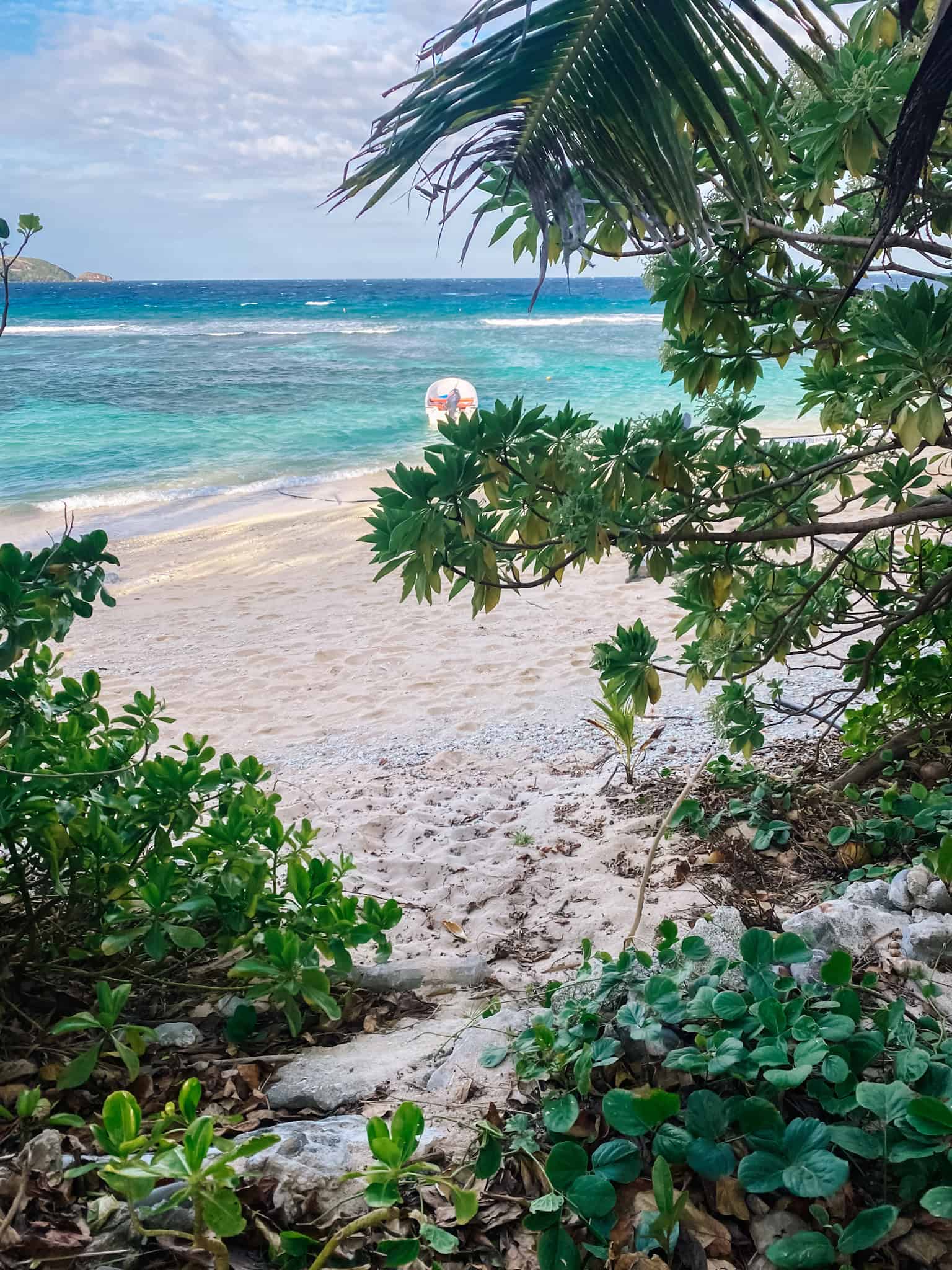 Barefoot Kuata, Fiji