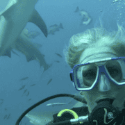 Bull Shark Dive Fiji | Is It Worth It?