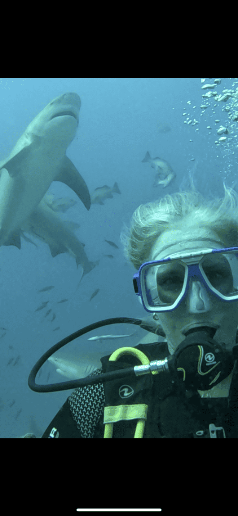 Bull Shark Dive Fiji