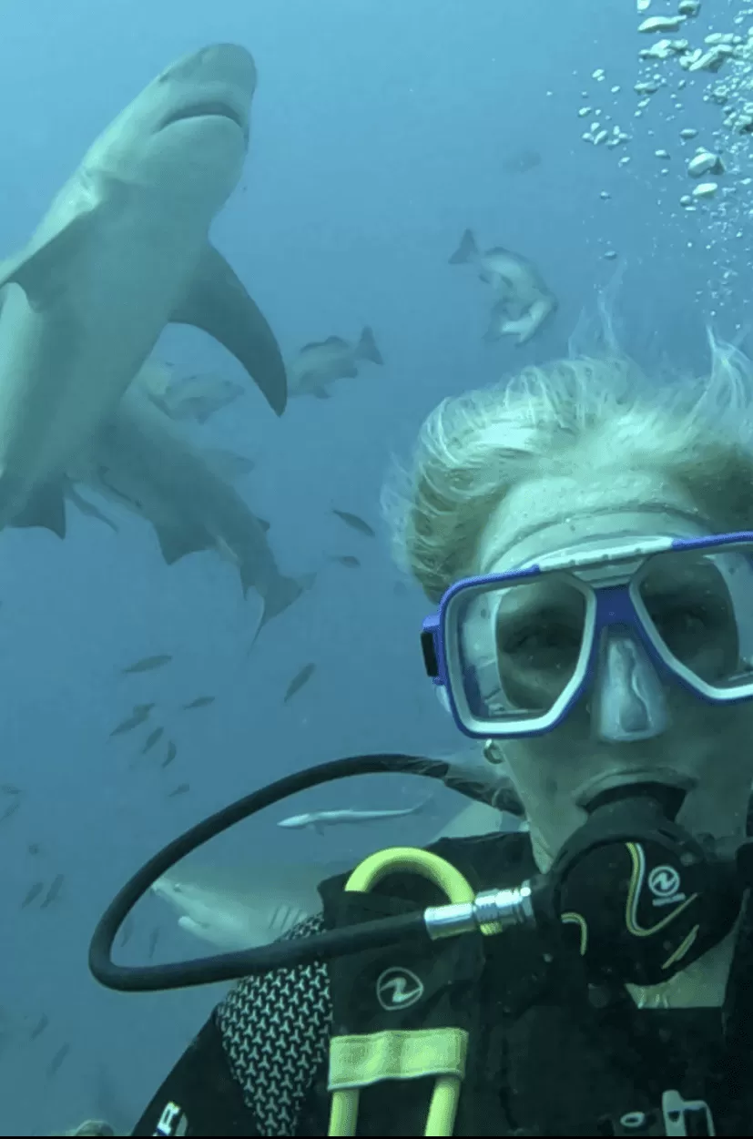 Bull Shark Dive Fiji