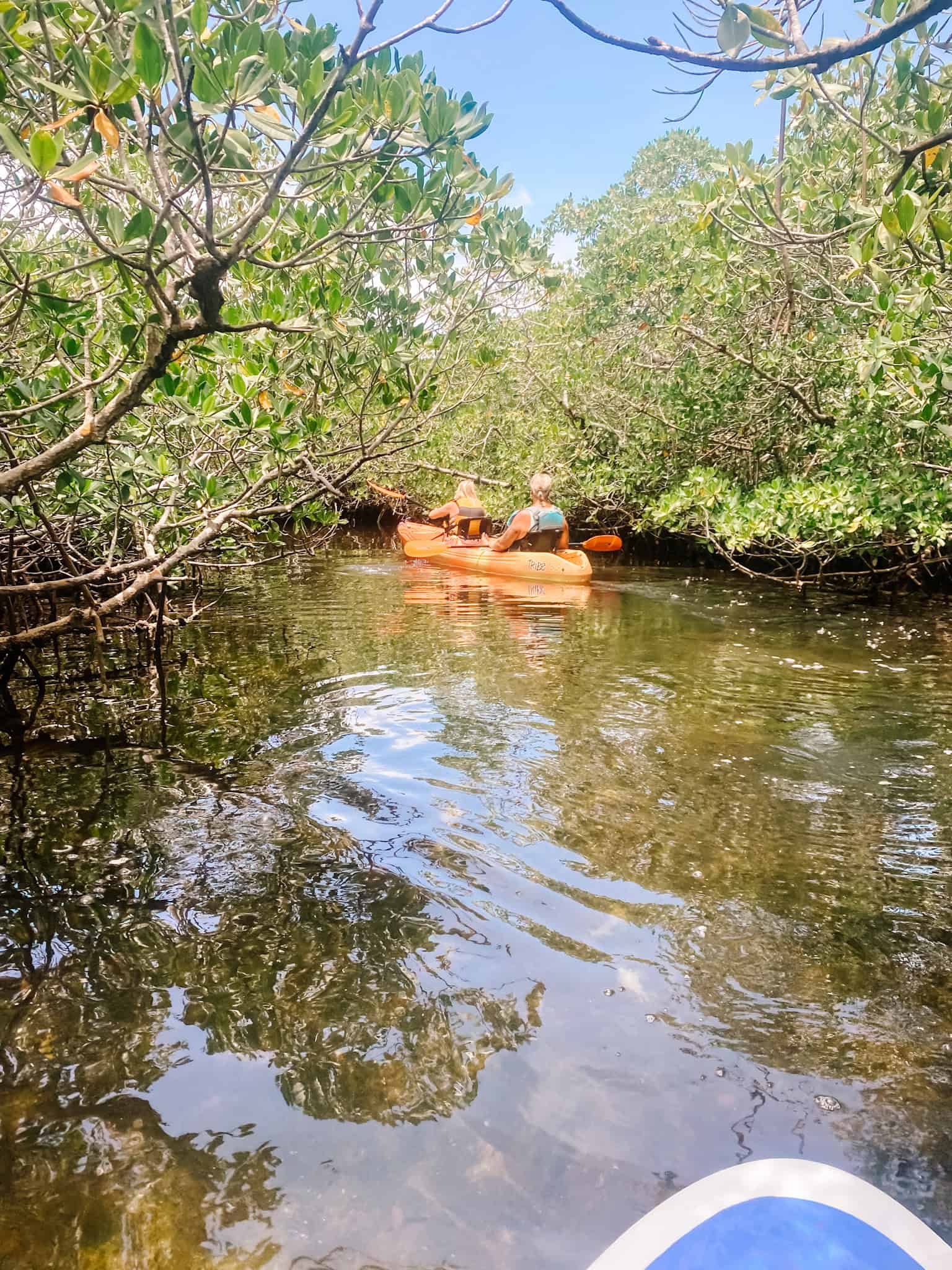 key largo paddle boarding