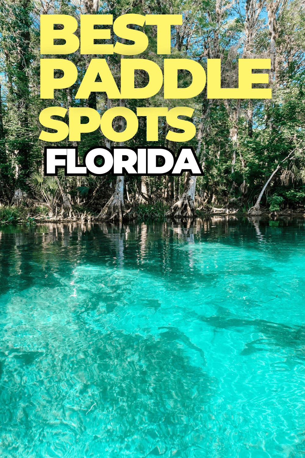 best paddle spots in Florida