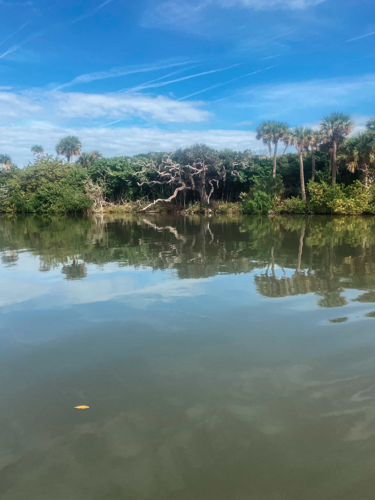 intracoastal Florida, best paddle board spot