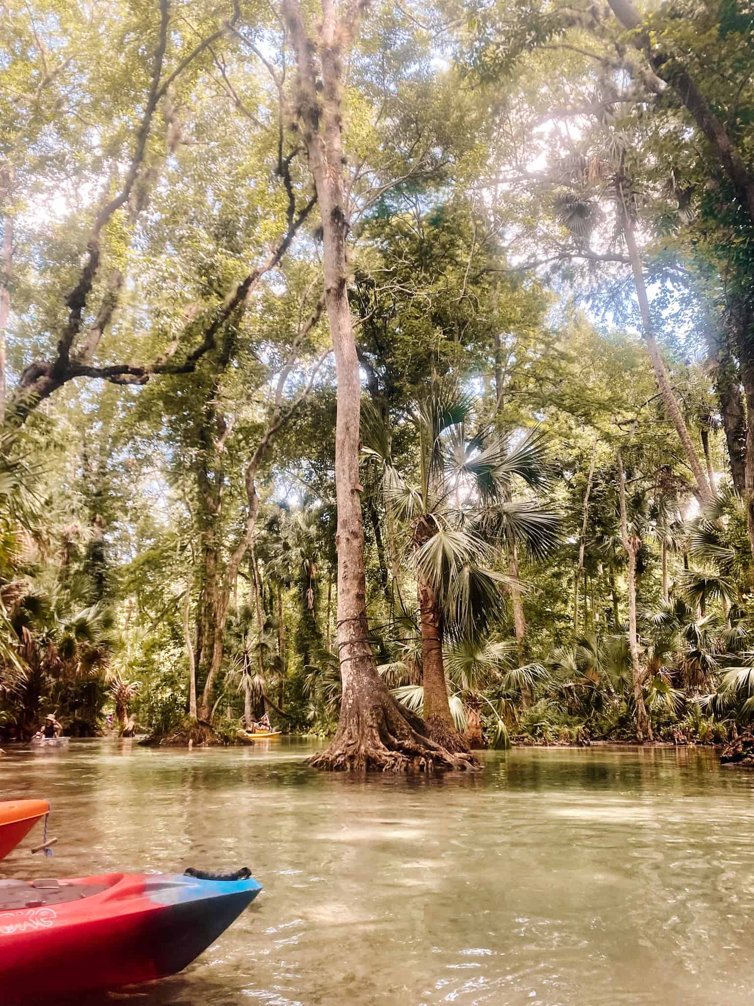 kings landing - best paddle boarding spots in Florida