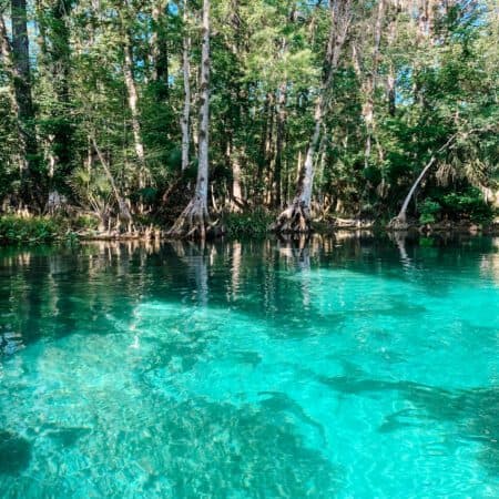 silver springs, florida