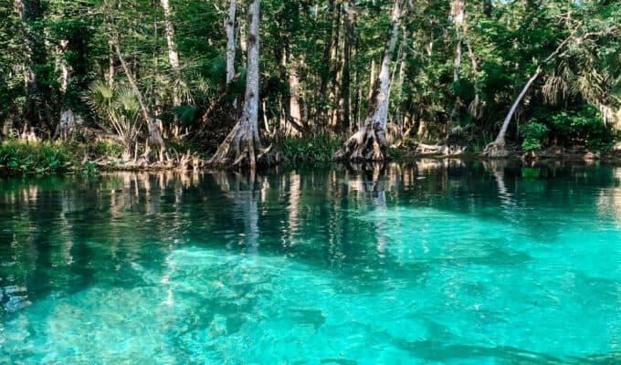 silver springs, florida