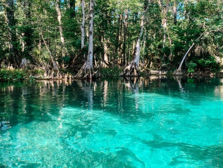 silver springs, florida