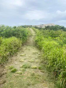 solo trip to Fiji as a female traveller