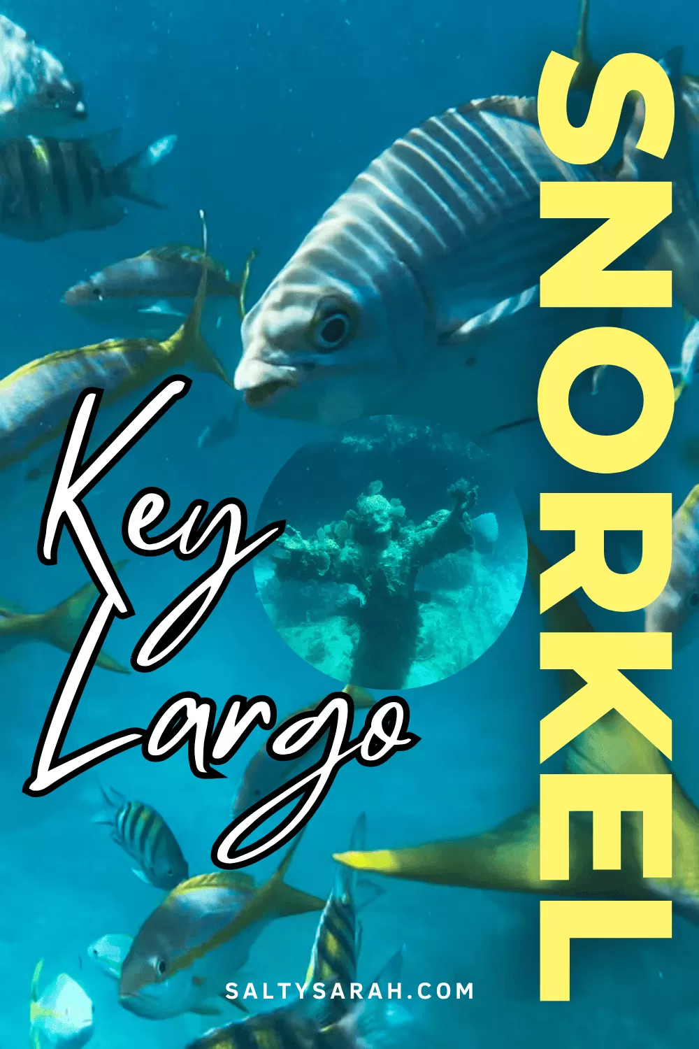 best snorkeling key largo pin