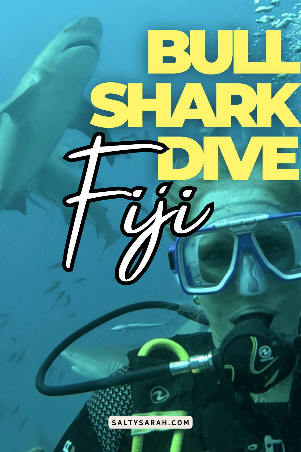 bull shark dive fiji