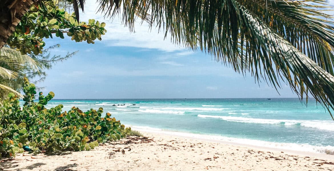 drill hall beach for beginner surf lessons in Barbados