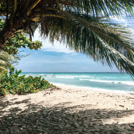 drill hall beach for beginner surf lessons in Barbados