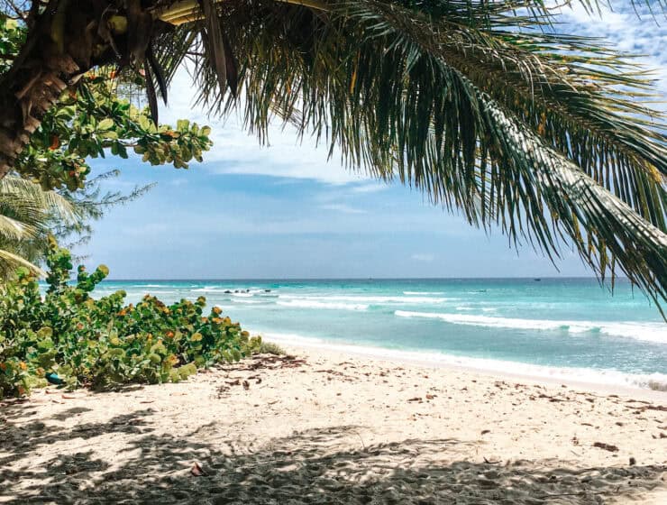 drill hall beach for beginner surf lessons in Barbados