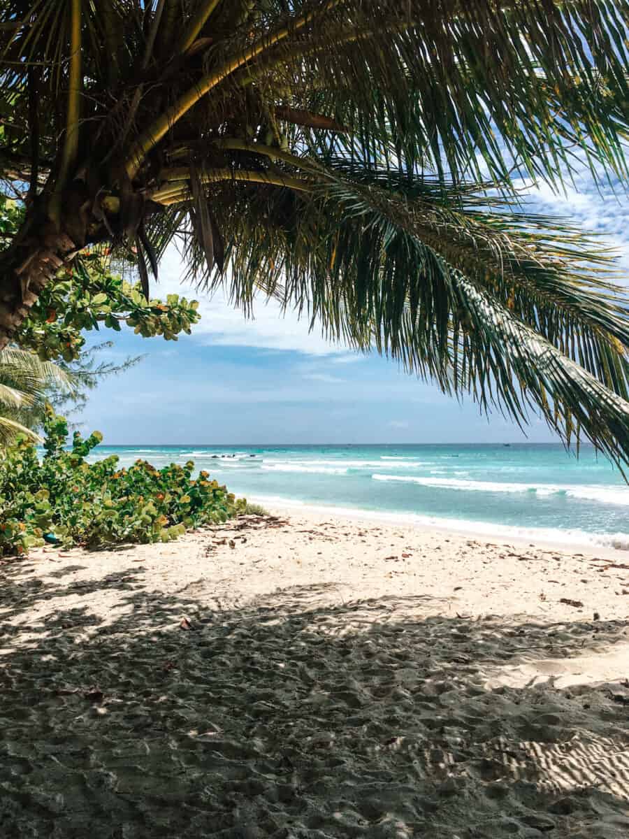 drill hall beach for beginner surf lessons in Barbados