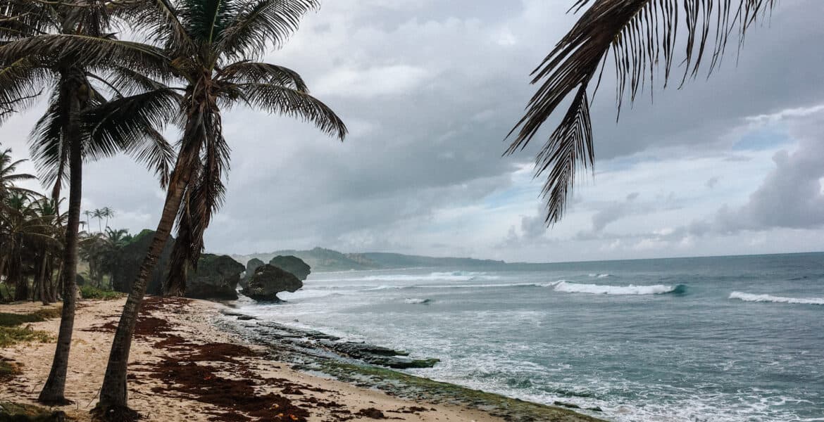 east coast barbados