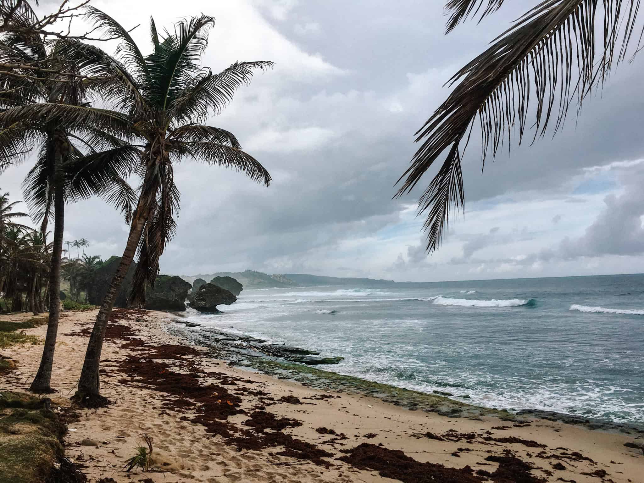 east coast barbados