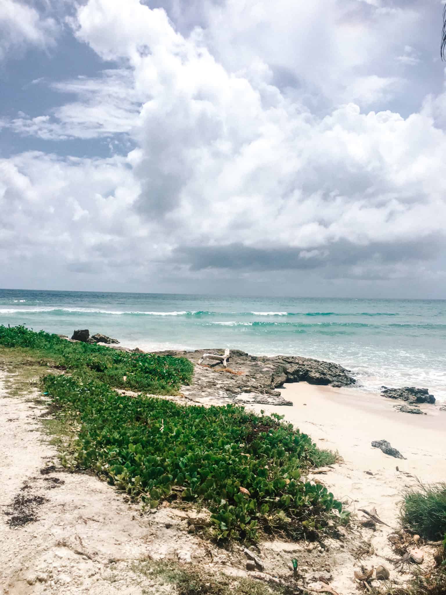 surf barbados