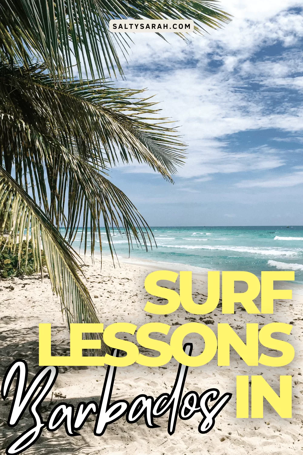 surf lessons barbados