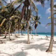Two Days in the San Blas Islands: A Caribbean Paradise I’ll Never Forget