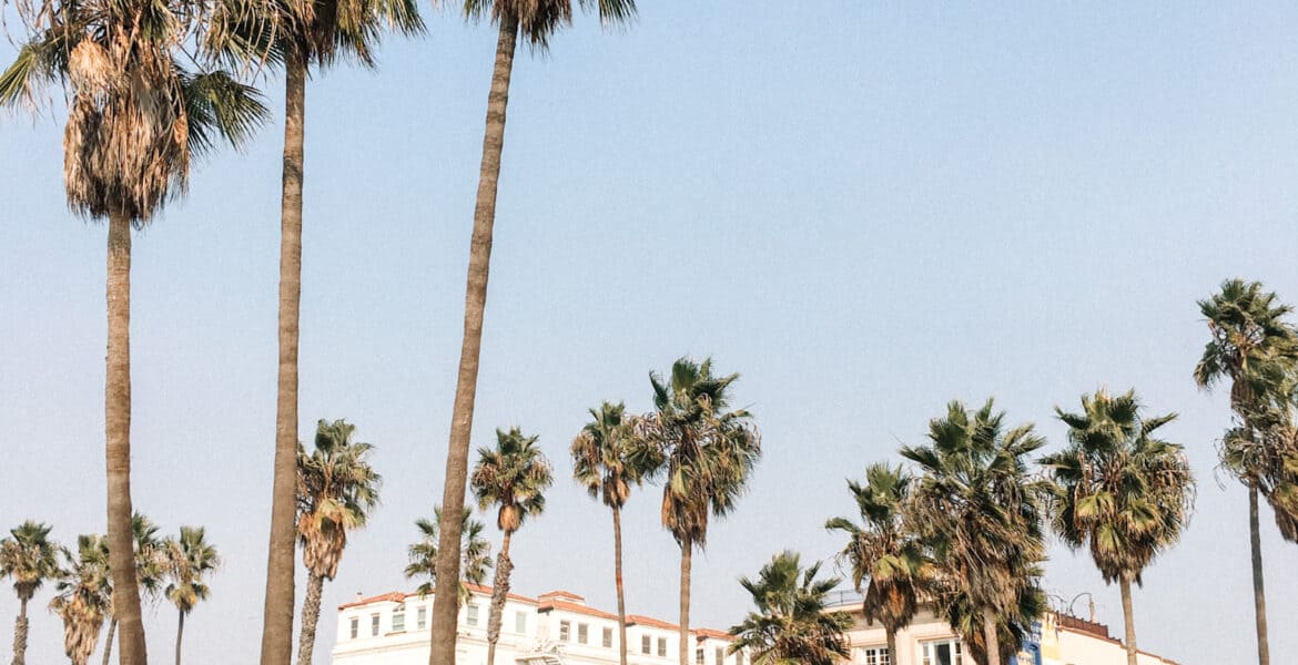 venice beach in Los Angeles, CA