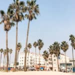 venice beach in Los Angeles, CA