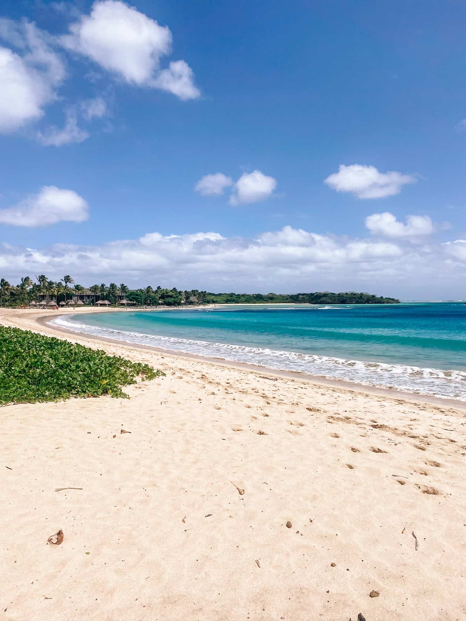 natadola beach fiji