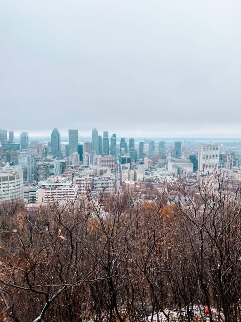 Montreal from Mount Royal