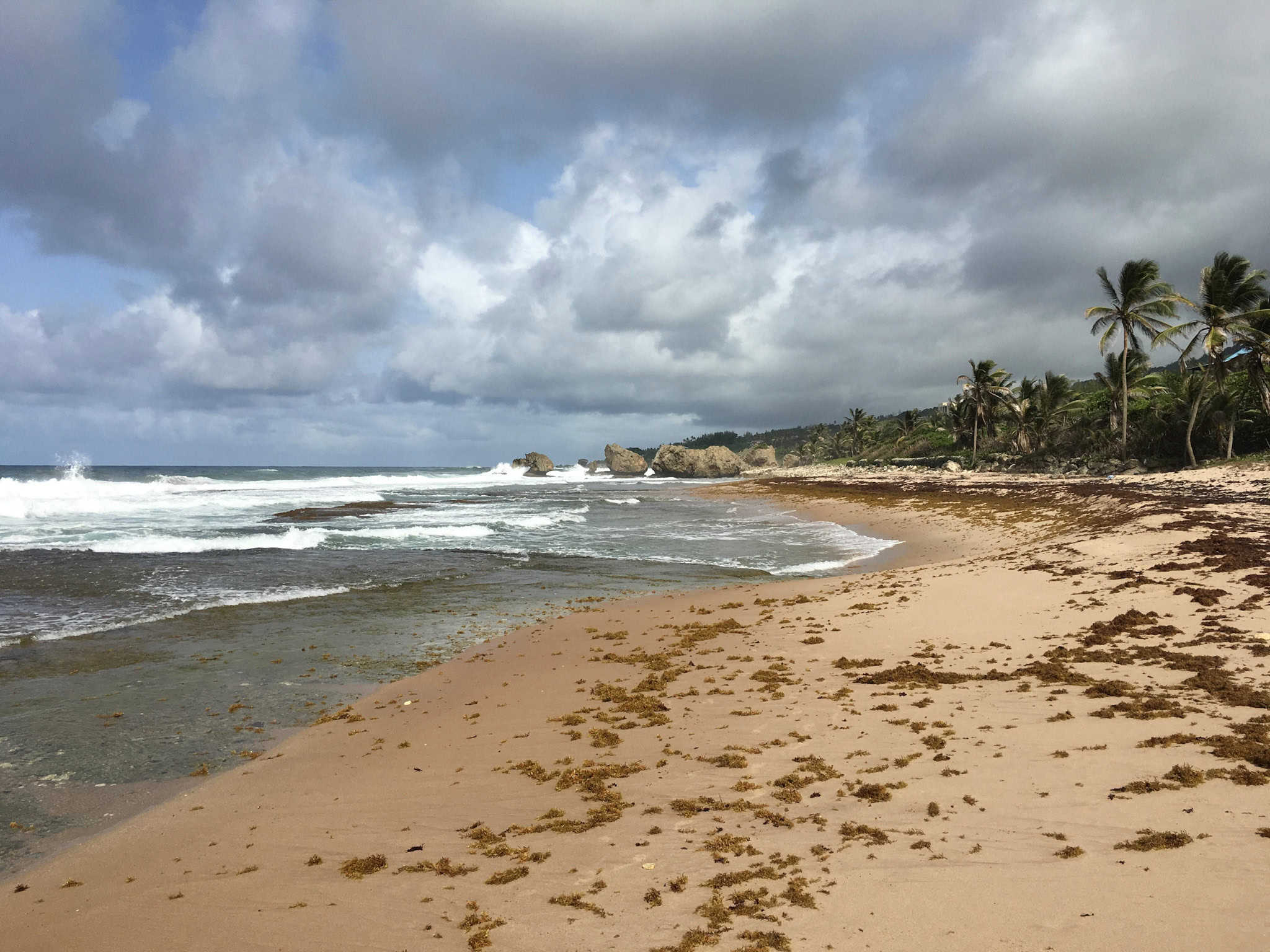 Barbados east