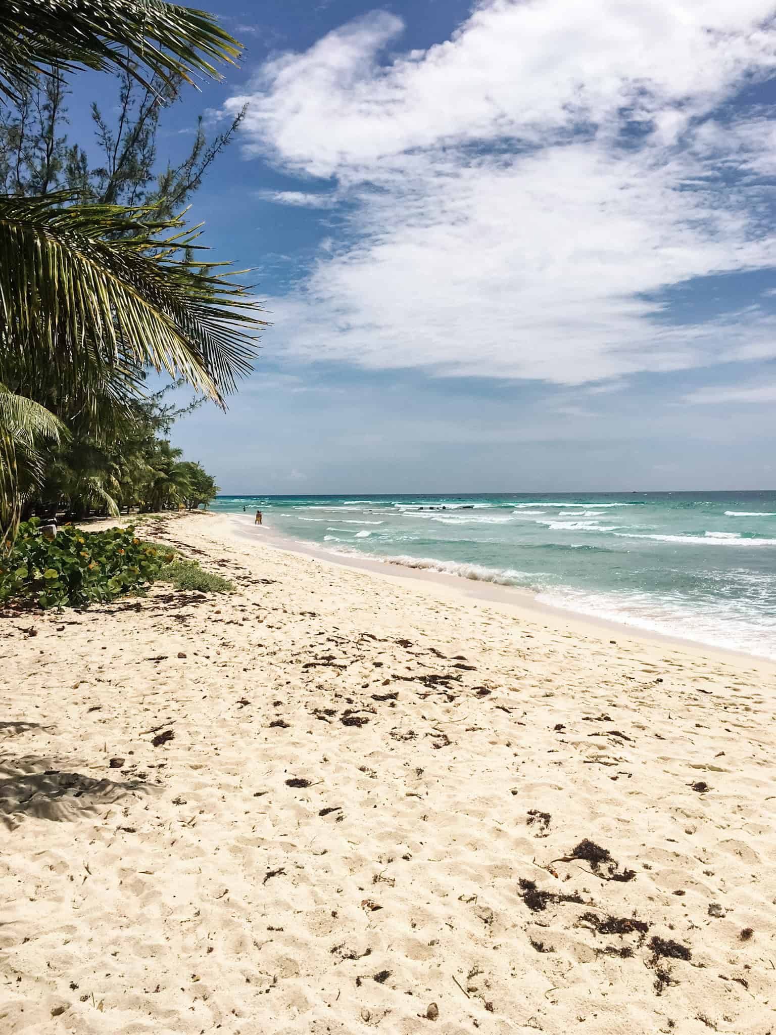 Barbados south coast