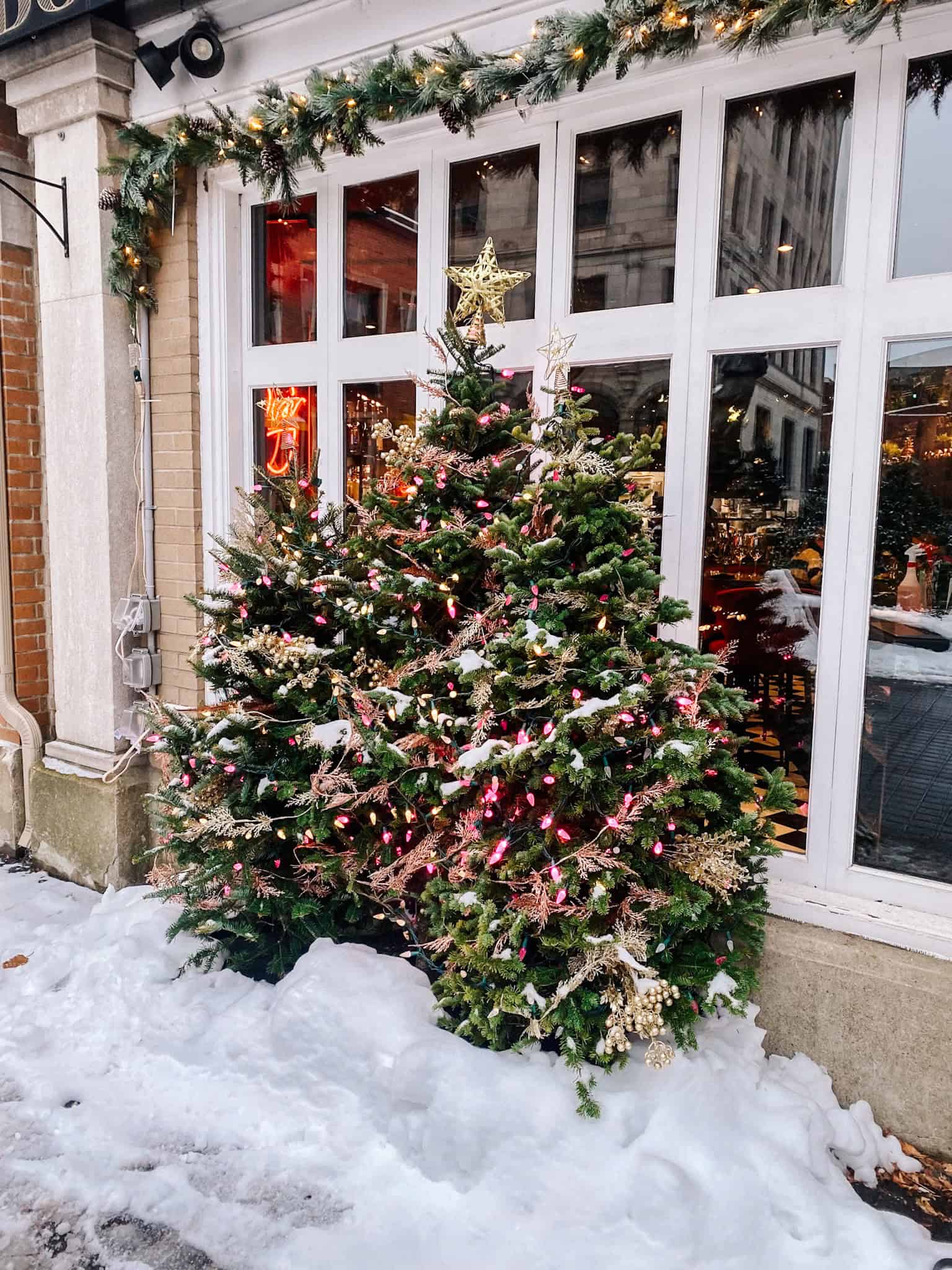 cute Christmas tree in Quebec