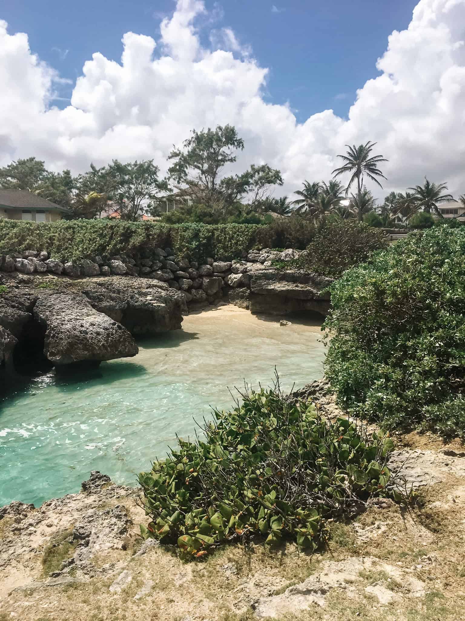 shark hole Barbados