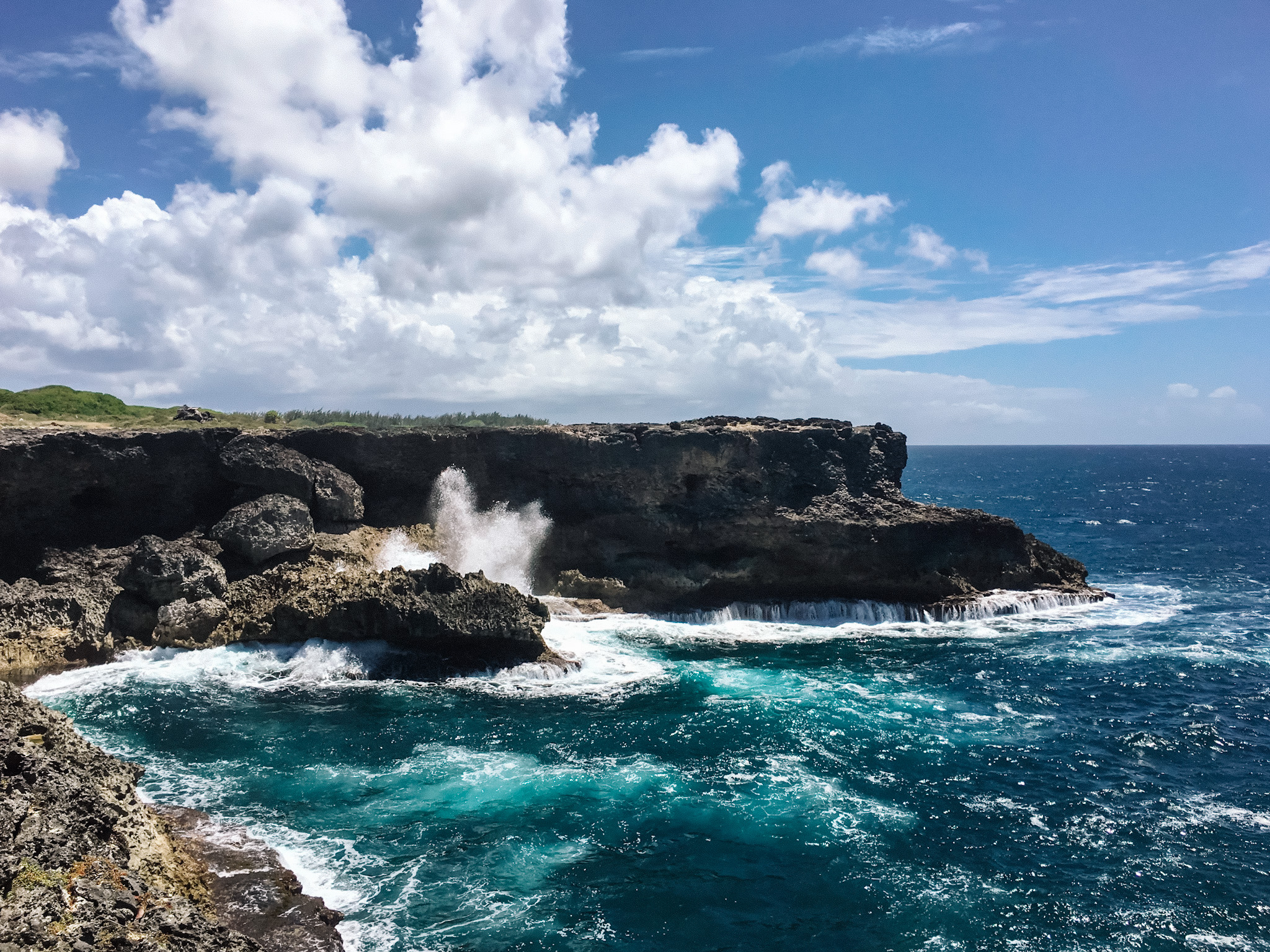 north Barbados; Animal Flower Cave